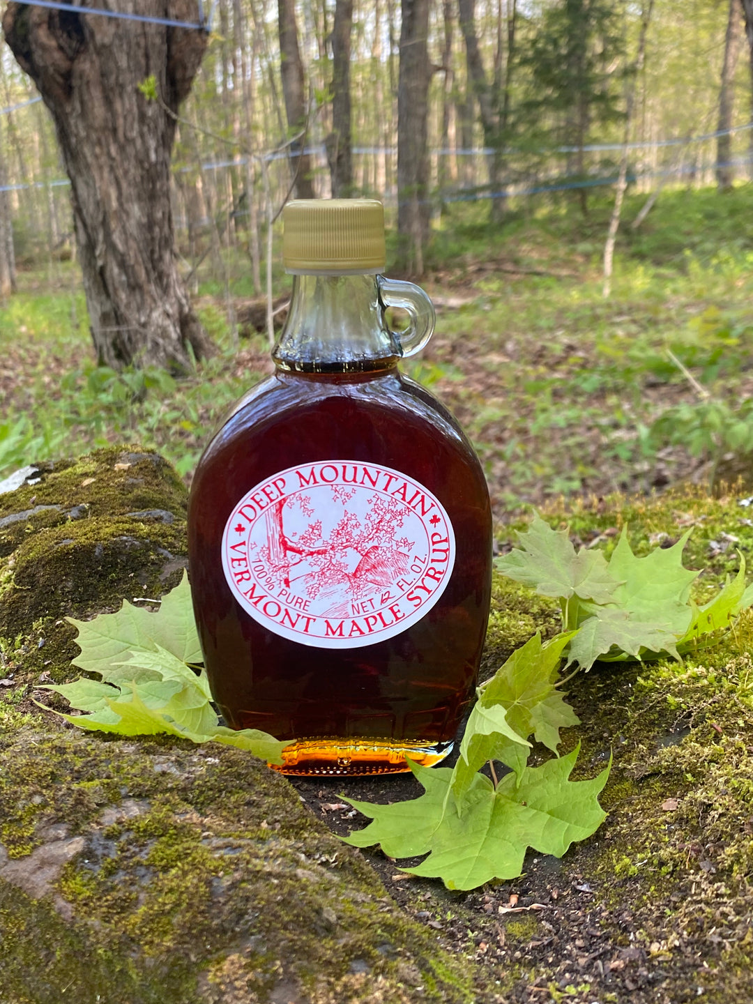 Classic Maple Syrup