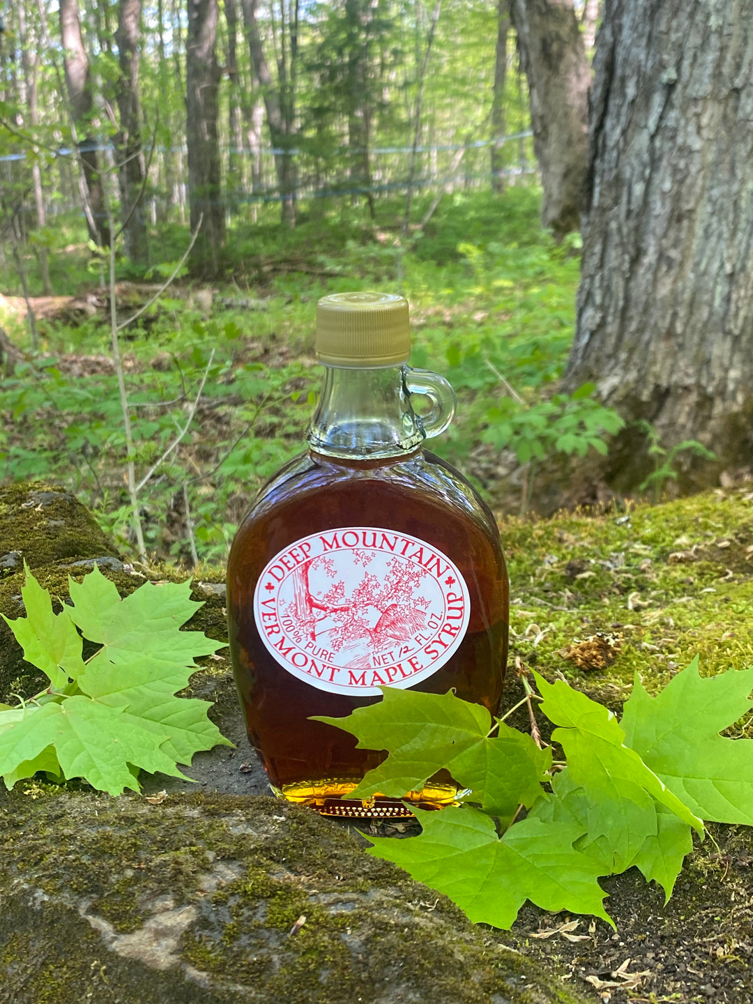Classic Maple Syrup