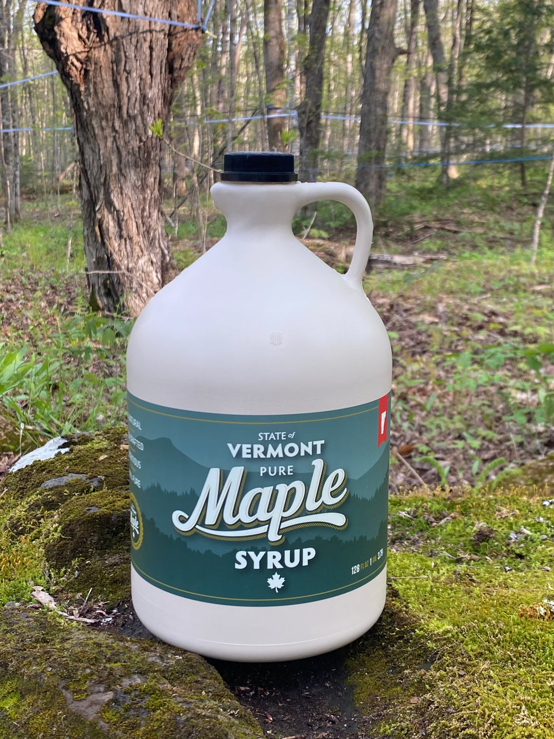 Classic Maple Syrup