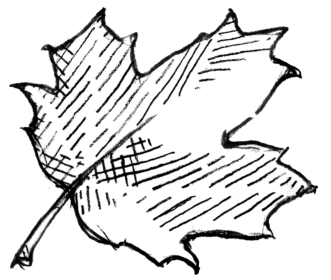 Section divider