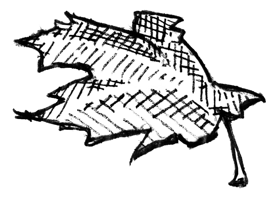 Section divider