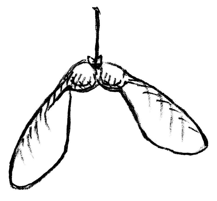 Section divider